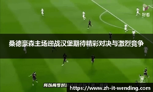 桑德豪森主场迎战汉堡期待精彩对决与激烈竞争
