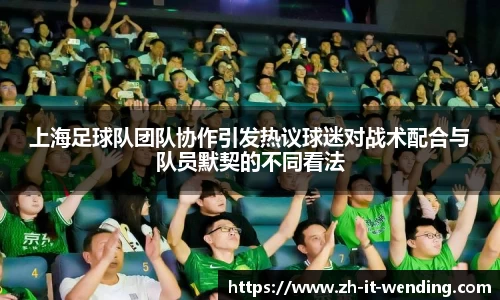 上海足球队团队协作引发热议球迷对战术配合与队员默契的不同看法